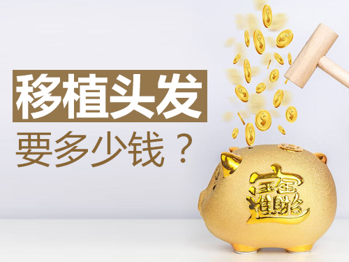 ë����ֲ�۸�һ�����Ǯ?