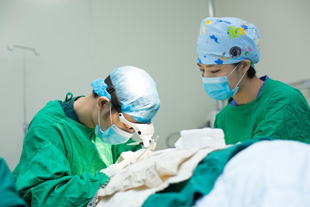 哪里可以做毛发种植手术?