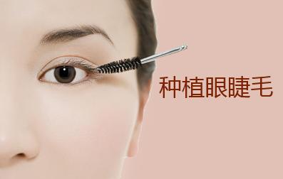 种植睫毛.jpg