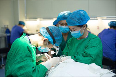 �̺���ֲЧ��ͼ