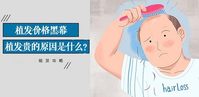 植发失败了应该如何修复呢